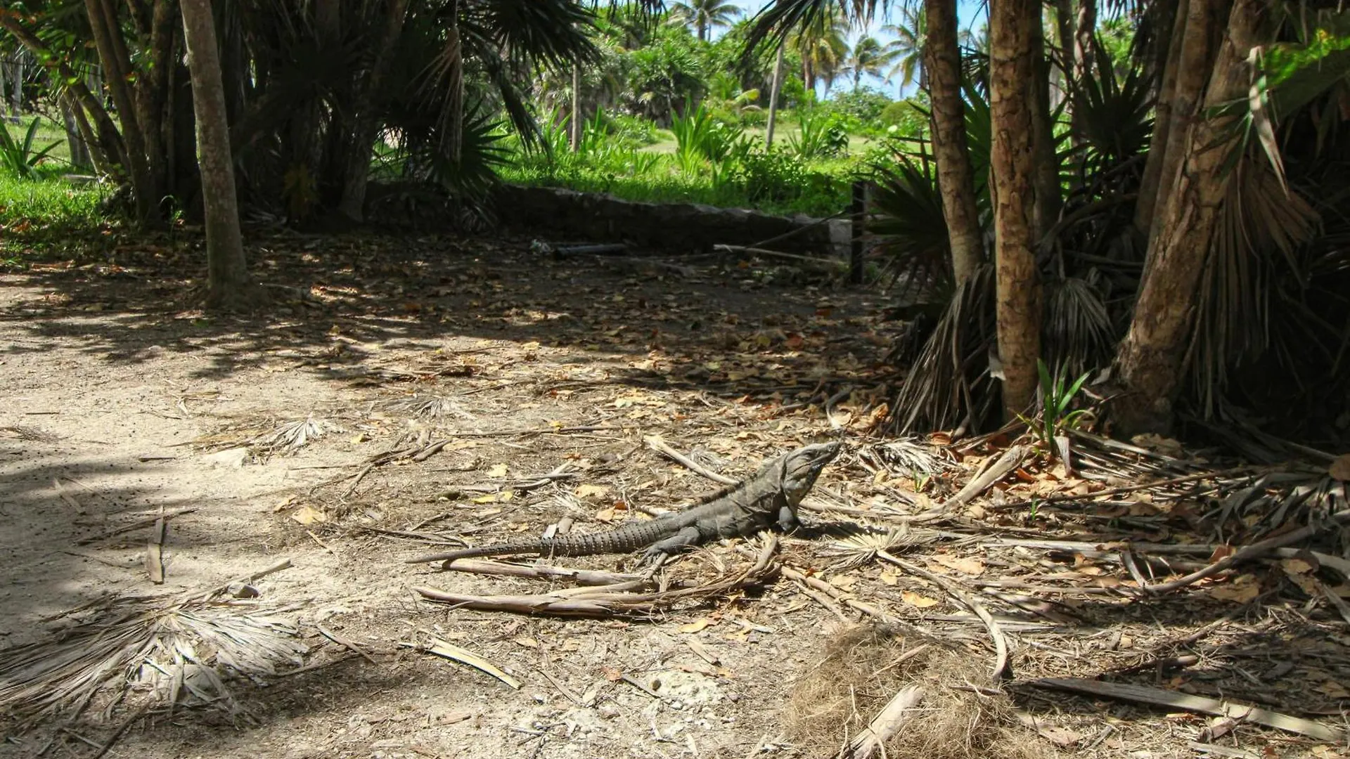 Tao Edena 95 Vila Tulum 0*,  México
